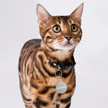 Load image into Gallery viewer, #ottpet | Engraved pet ID tag