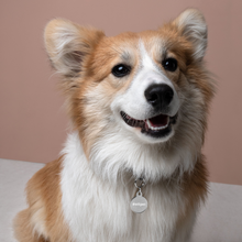 Load image into Gallery viewer, #ottpet | Engraved pet ID tag